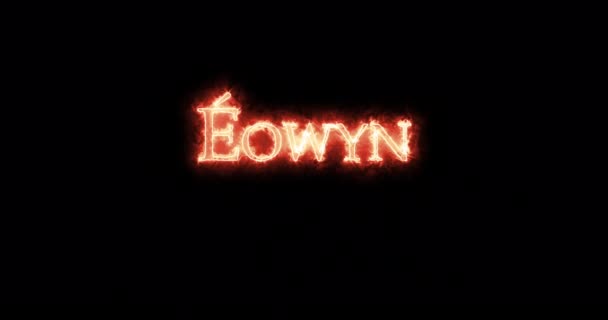 Eowyn Escribió Con Fuego Bucle — Vídeo de stock
