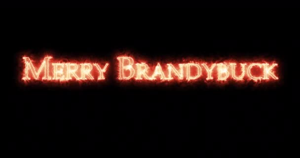 Fericit Brandybuck Scris Foc Bucla — Videoclip de stoc