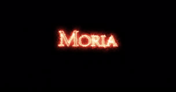 摩瑞亚用火写的环路 — 图库视频影像