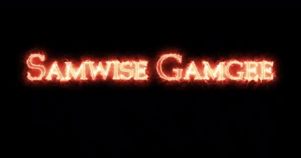 Samwise Gamgee用火写的环路 — 图库视频影像