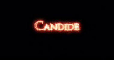 Candide ateşle yazılmış. Döngü