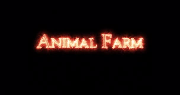 Animal Farm Ditulis Dengan Api Pengulangan — Stok Video