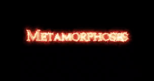 Metamorphoses Written Fire Loop — Stock Video