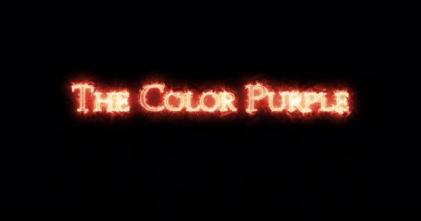 Color Púrpura Escrito Con Fuego Bucle — Vídeos de Stock