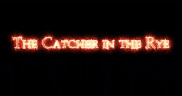 Catcher Rye Written Fire Loop — Stock Video