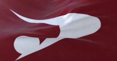 Japon Akita Bölgesi, Japonya bayrağı. Döngü