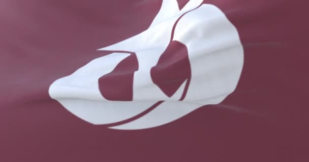 Flagga Japansk Aichi Prefektur Japan Ögla — Stockvideo