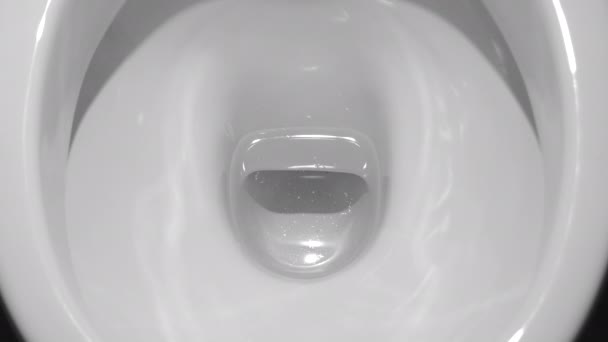 Water Flushing Toilet — Stock Video