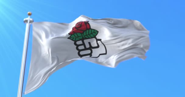 Socjalistyczny Międzynarodowy Ruch Flagowy Machający Wiatru Powoli Pętla — Wideo stockowe
