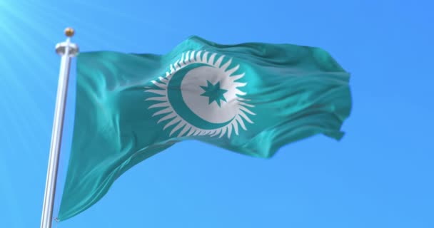 Vlajka Turkické Rady Pomalu Vlní Proti Větru Smyčka — Stock video