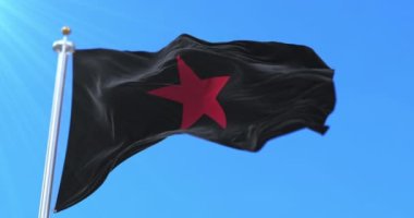 Zapatista Ulusal Kurtuluş Ordusu bayrağı, rüzgarda sallanıyor, yavaşça. Döngü