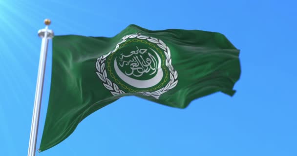 Прапор Ліги Арабських Держав Махає Вітром Повільно Петля — стокове відео