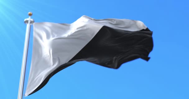 Anarcho Pacifist Flag Waving Wind Slow Loop — Stock Video