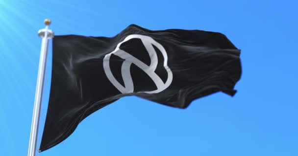 Jewish Anarchism Flag Wind Slow Loop — Stock Video