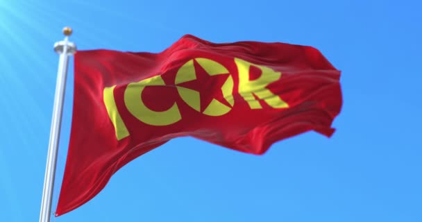 Флаг Icor Размахивает Ветре Медленно Петля — стоковое видео