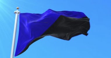 Anarcho Transhumanism bayrağı rüzgarda sallanıyor, yavaşça. Döngü