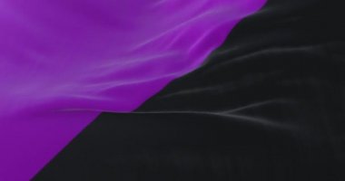 Anarşizm-feminizmi temsil eden ikiye bölünmüş bayrak, yavaş. Döngü