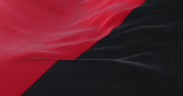 Die Flagge Des Anarchismus Weht Langsam Schleife — Stockvideo