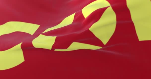 革命党派和组织国际协调组织的旗帜 — 图库视频影像