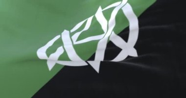 Vejetaryenlik bayrağı rüzgarda sallanıyor, yavaşça. Döngü