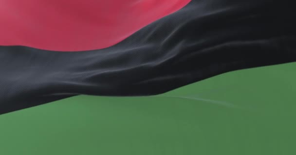 Панафриканский Флаг Размахивающий Ветром Медленно Петля — стоковое видео