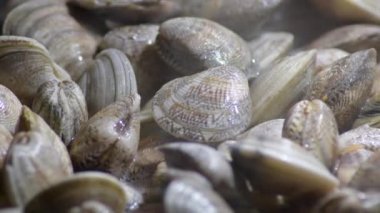 Tavada kızaran midyeler