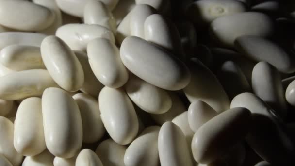 生の白豆の回転 — ストック動画