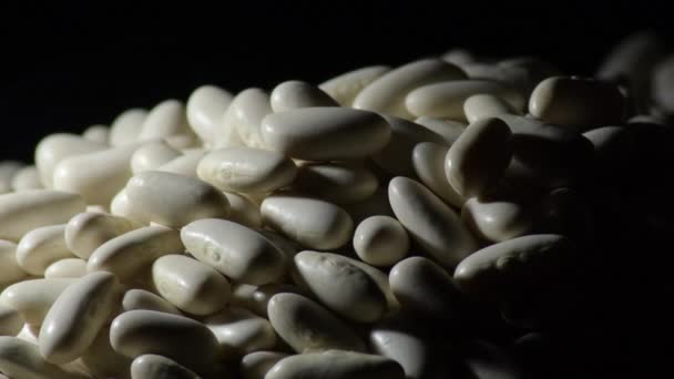 生の白い豆は親密な光でジャイティング — ストック動画