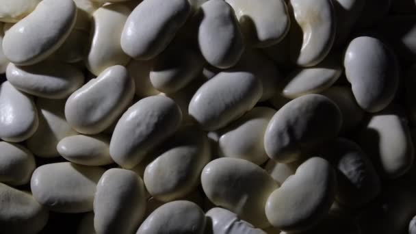 生白豆转盘 — 图库视频影像