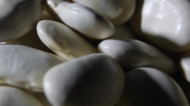 生の白い豆は親密な光でジャイティング — ストック動画