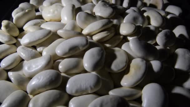 Raw White Beans Mountain Turning — Stock Video