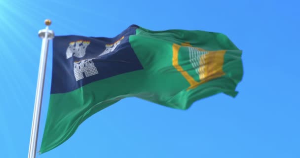 Zászló Dublin Írország Fővárosa Hurok — Stock videók