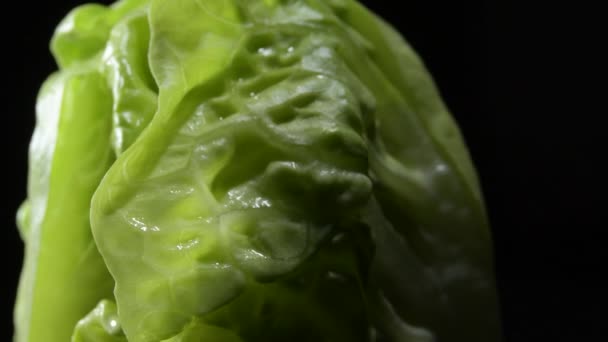 Vidéos pour Naturiste, Naturiste clips vidéo HD / 4K, footage | Depositphotos