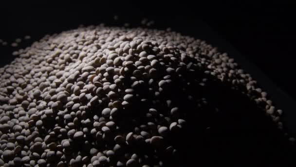 Raw Lentils Mountain Black Background Gyrating Rotation — Stock Video