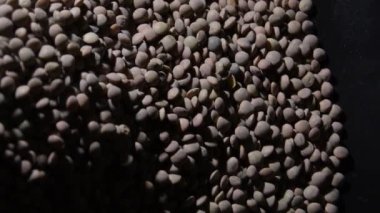 Lentils in a black tray gyrating, rotation