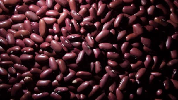 Red Beans Legumes Intimate Light Rotation — Stock Video