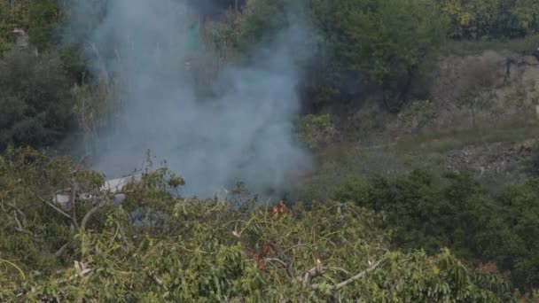 Fumul Coloană Într Incendiu Agricol Câmp — Videoclip de stoc