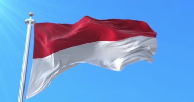 Viyana bayrağı, Avusturya 'nın başkenti, döngü