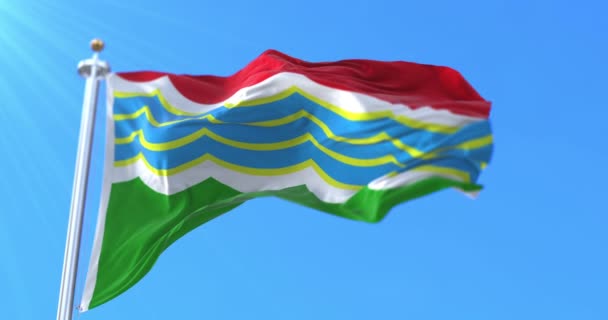 Flag Tiraspol Capital City Transnistria Loop — Stock Video