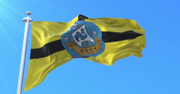 Flagge Von Wellington Der Hauptstadt Neuseelands Schleife — Stockvideo