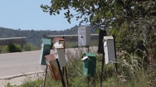 Roadside Mailboxes Sunny Day — Stock Video