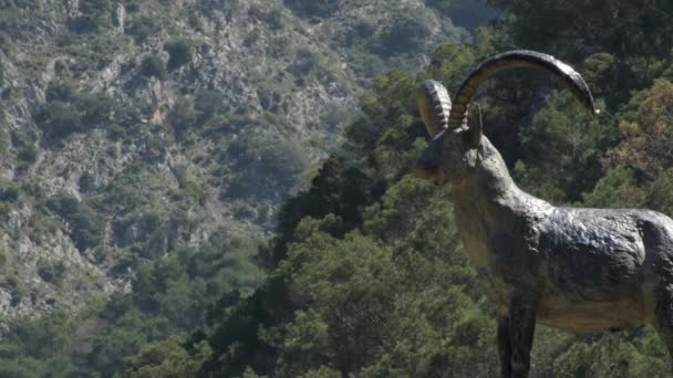 Statue Hommage Chèvre Ibérique Des Pyrénées Sierra Tejeda Alcaucin Espagne — Video