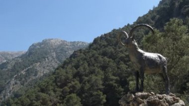 Dağlardaki heykel Pyrenean İber keçisi Alcaucin 'e adanmıştır.
