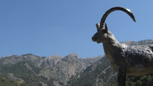 Статуя Горах Пиренейской Иберийской Козы Алькауцин Испания — стоковое видео