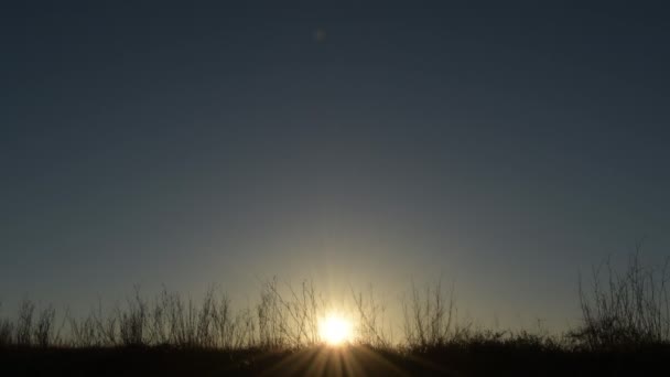 Zon Bij Zonsondergang Tussen Droge Takken — Stockvideo