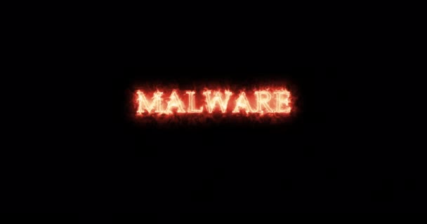 Malware Escrito Com Fogo Laço — Vídeo de Stock