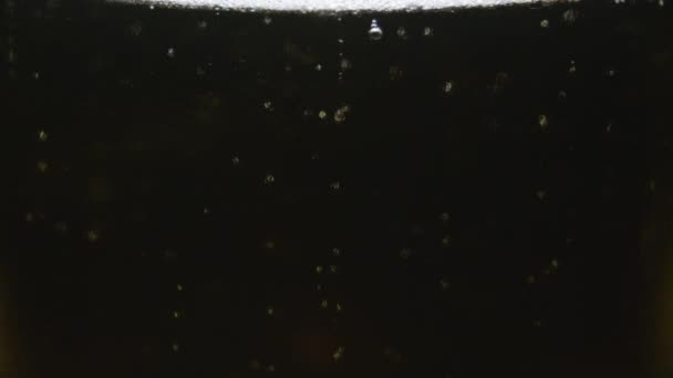 Effervescence Real Bubbles Beer — Stock Video