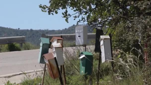 Buzones Lado Carretera Día Soleado — Vídeo de stock