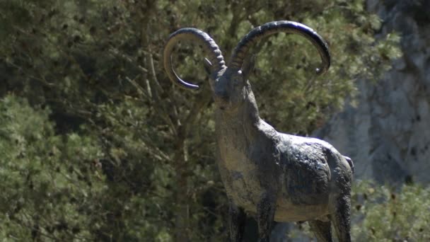 Standbeeld Van Iberische Geit Uit Pyreneeën Sierra Tejeda Alcaucin Spanje — Stockvideo