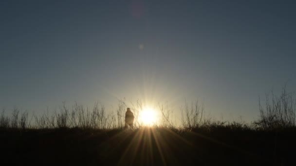Homem Cão Caminhando Pelo Campo Pôr Sol — Vídeo de Stock
